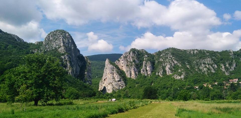Odmaraliste Vlasko Zdrelo ปิโรต์ ภายนอก รูปภาพ